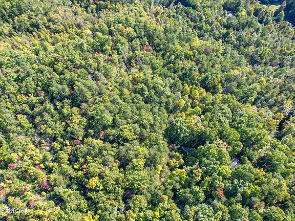 3rd image of 0 Branam Hollow Rd