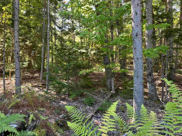 LOT 5 Conquerall Rd, Lunenburg, NS B4V 0Z7