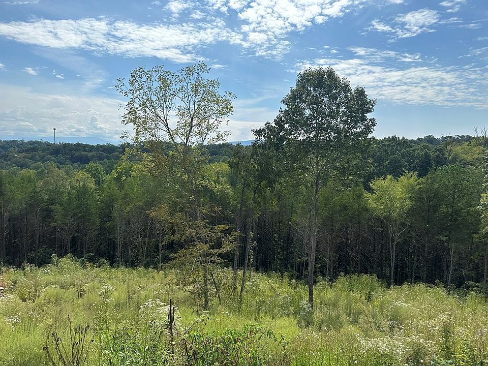 2nd image of LOT 133 Red Cedar Ridge Rd