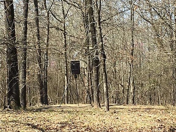 5th image of 1275 County Road 1410 #86
