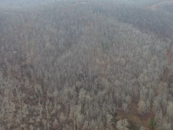 3rd image of 0 Rolling Hills Rd Lot 80A-B