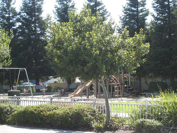 4th image of 30782 Barrons Way