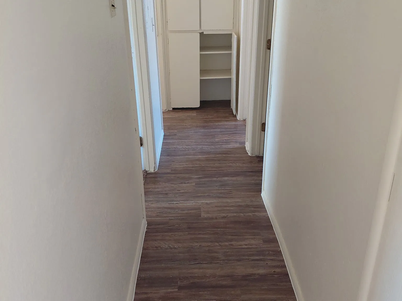 3 bed, 800 sqft, $1,499 — Photo 4