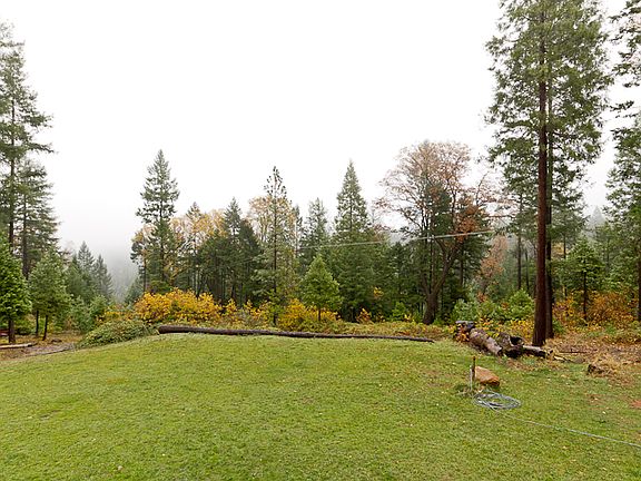 Back Lawn