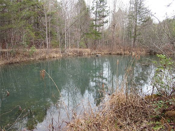 5th image of 142 Stone Valley Cir