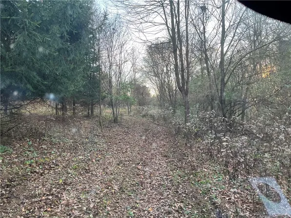 0 Dutch Ridge Rd, Ellwood City, PA 16117