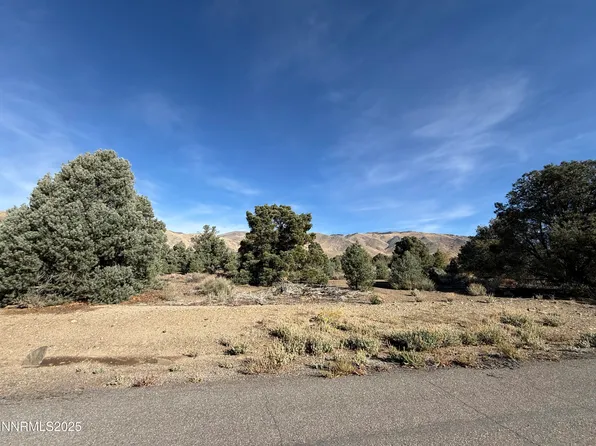 3660 Pinenut Way, Wellington, NV 89444