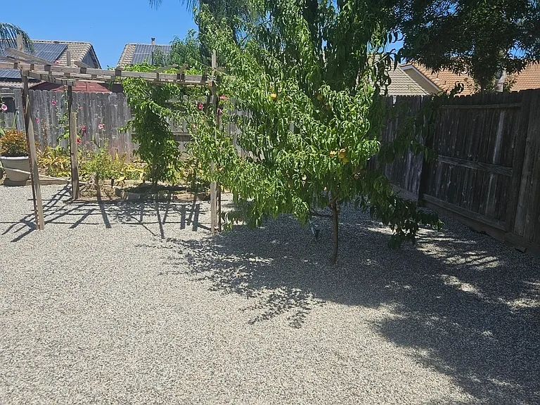 1133 Plumas Links St — Photo 2