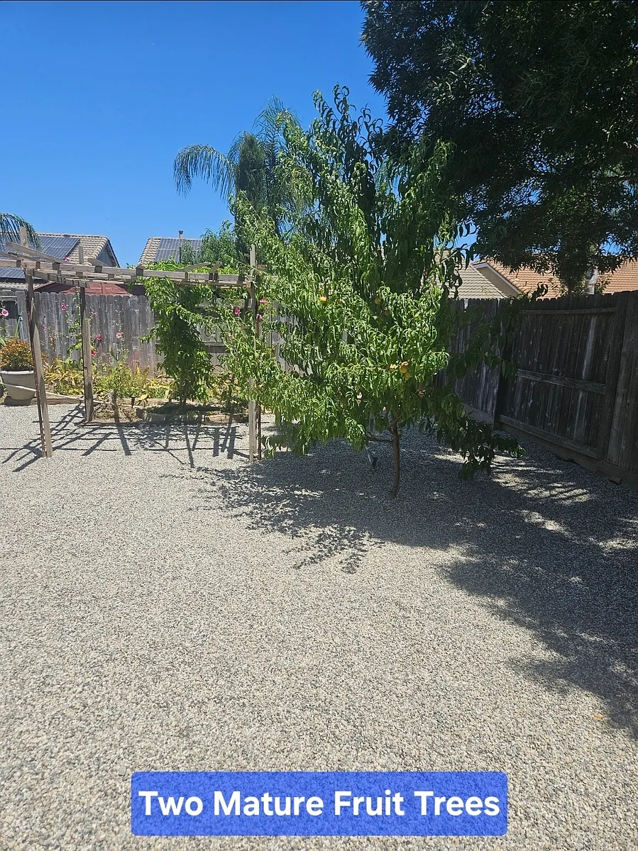 Building Photo - 1133 Plumas Links St