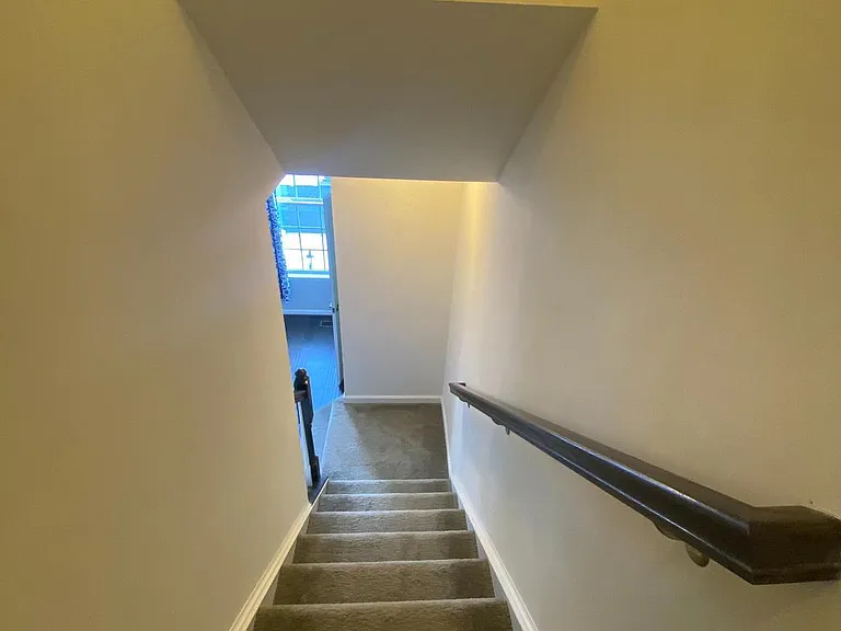 105 Chamomile Ct — Photo 22