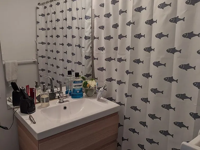 338 Harvard St #3 — Photo 5