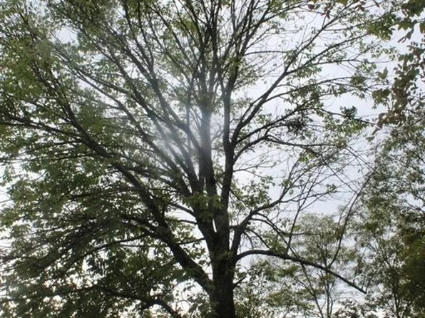 Hamilton Ln, Broken Bow, OK 74728