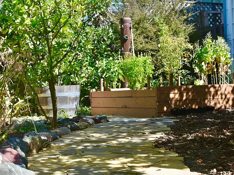 Raised garden bed and fruit trees