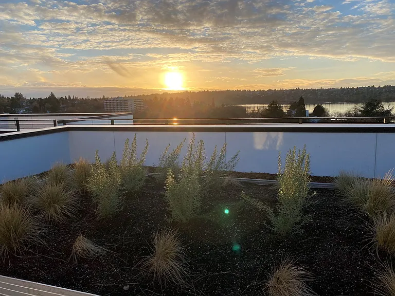 The Loop at Green Lake — Photo 20