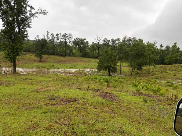0 S Mount Zion Rd, Greenville, AL 36037