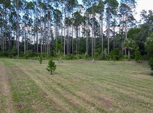 1351 Oak Pond Cir NE, Steinhatchee, FL 32359