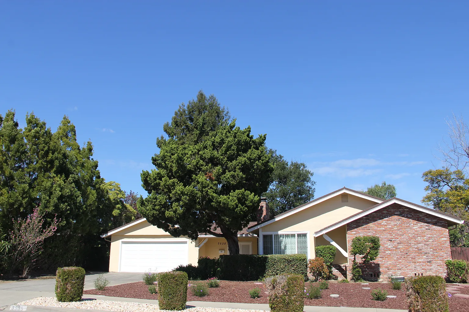 7535 Fallenleaf Ln photo 1