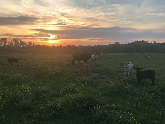 3rd image of 560 Peaceful Valley Rd