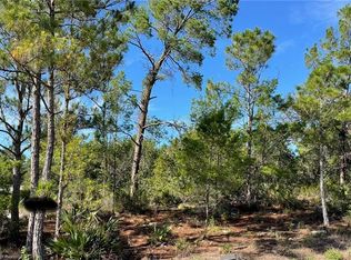 1087 Aleutian St NE, LAKE PLACID, FL 33852
