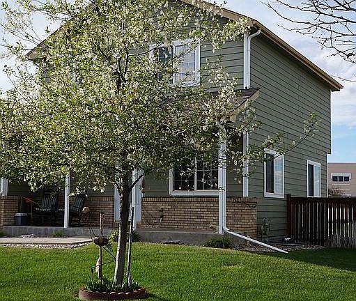 front with tree in blossom