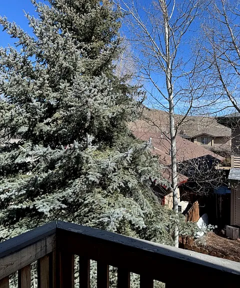 1118 Station Loop Rd — Photo 14