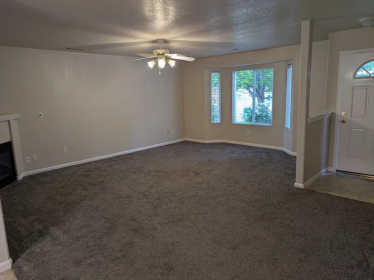 3604 Stingy Ln — Photo 3