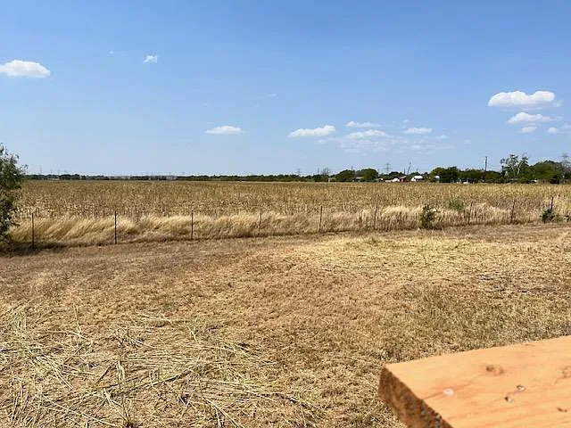 Backyard area