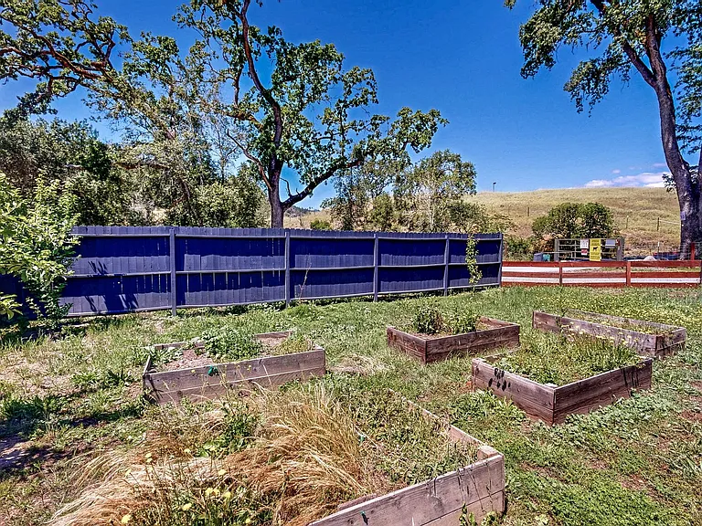 5326 Briggs Ranch Rd — Photo 36