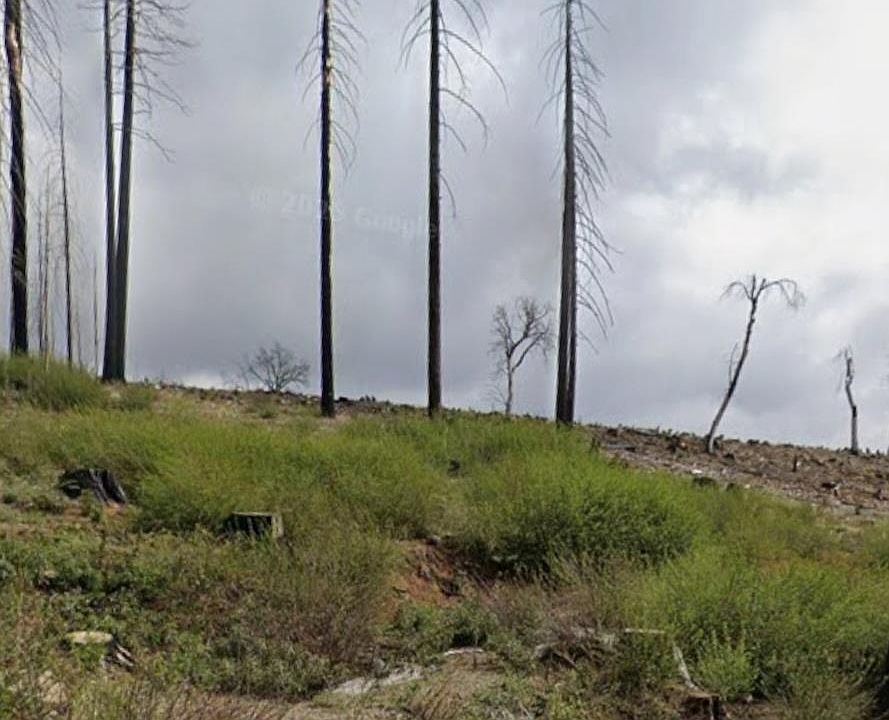 1st image of 7450 Winding Way