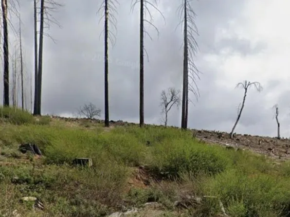 7450 Winding Way, Grizzly Flats, CA 95636