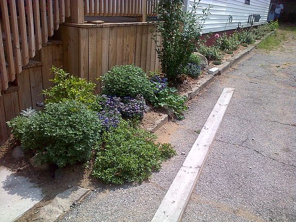 landscape summer 2012