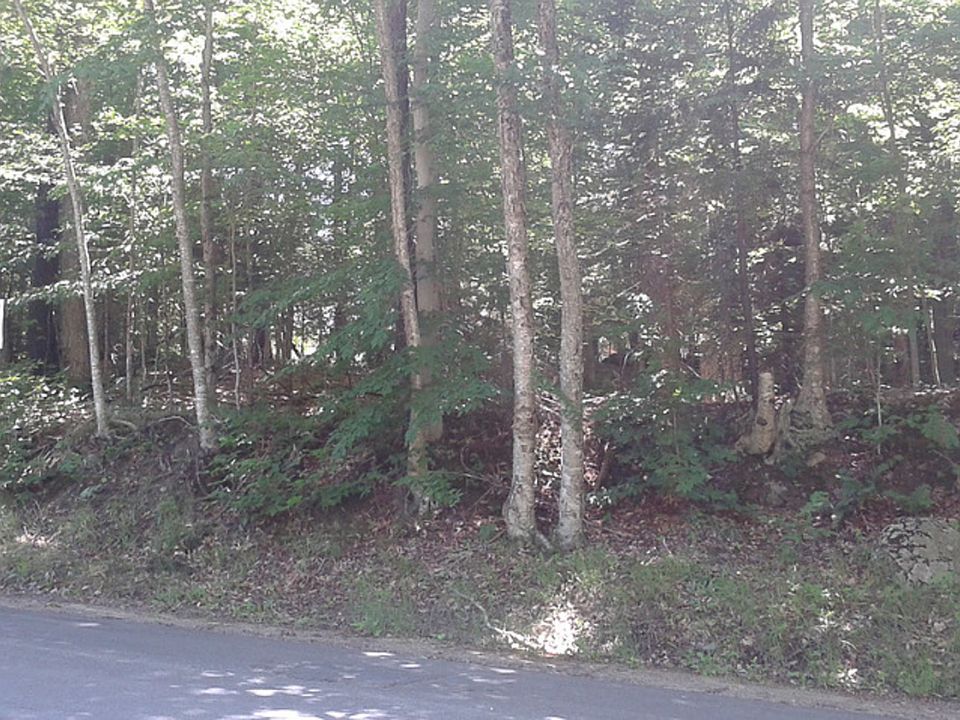 2nd image of Joy Tract Rd