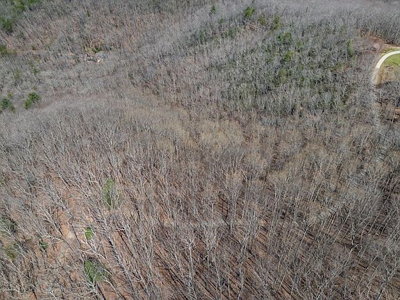 5th image of Caesar Gap Rd