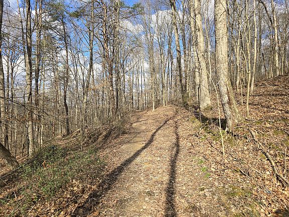 4th image of TRACT 2 Maple Grove Rd #3