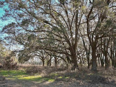 Vacant Hartsfield Rd, Monticello, FL, 32344