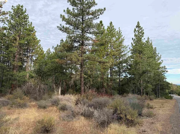 0 Little Valley Rd, McArthur, CA 96056
