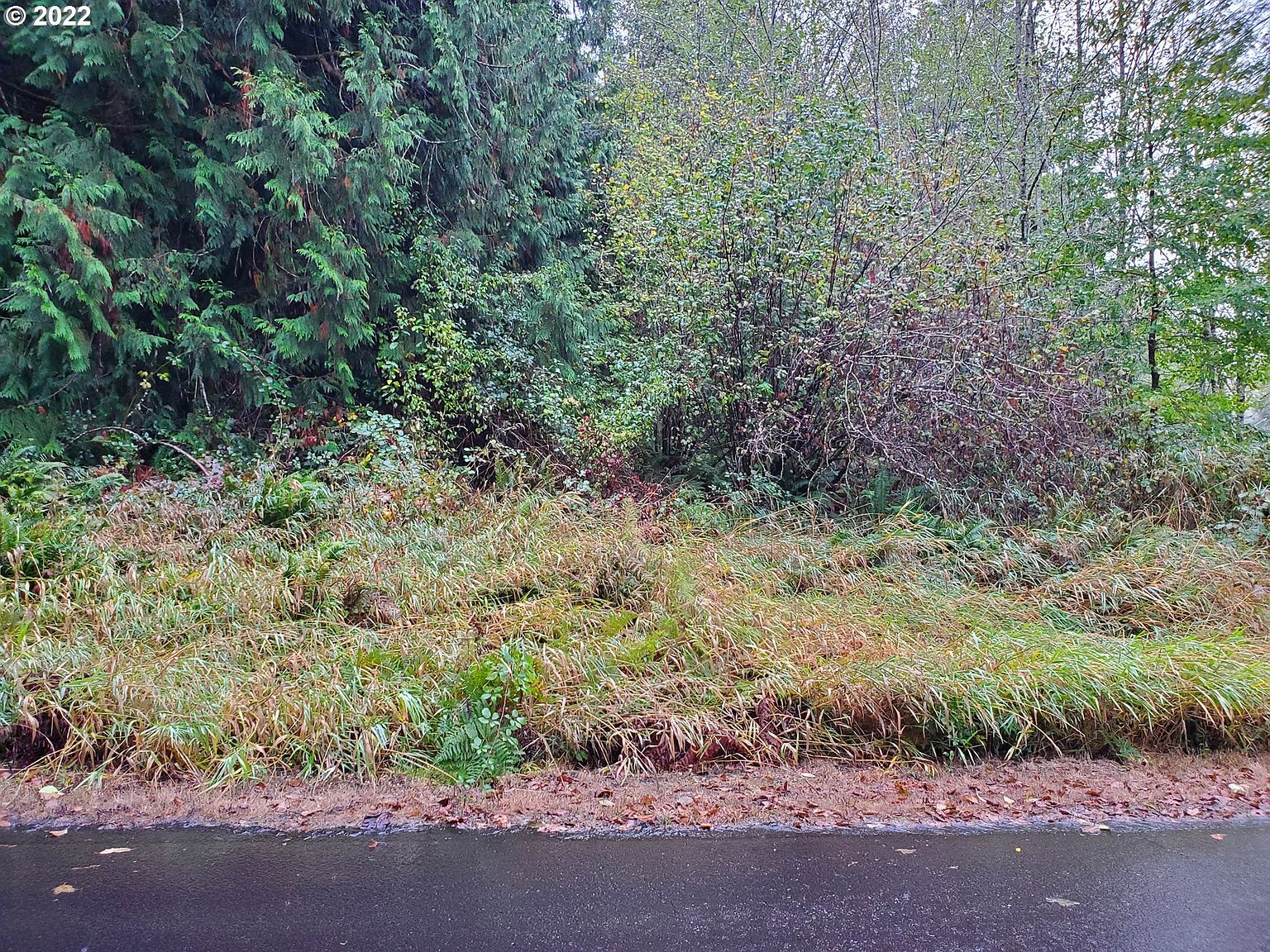 Clatskanie Valley Dr, Clatskanie, OR 97016 Zillow