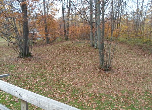 4th image of 163 Mountain Laurel Dr