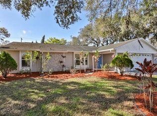 1307 Rustling Oaks Dr, Brandon, FL 33510