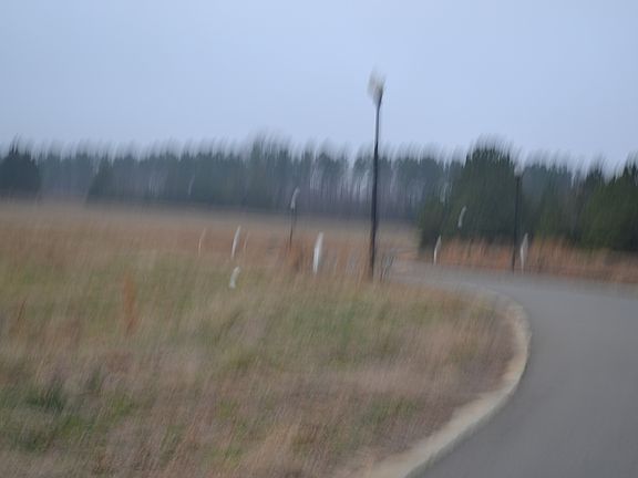 3rd image of Liberation Road