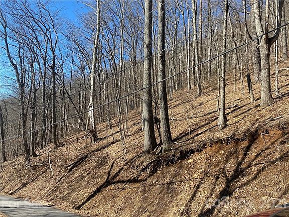 3rd image of 0 Skyline Dr