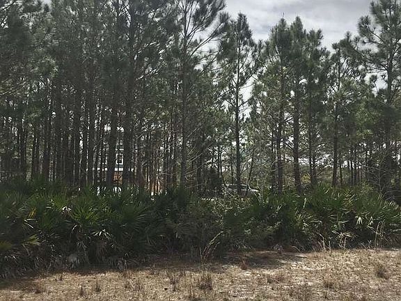 4th image of Driveiftwood Dr