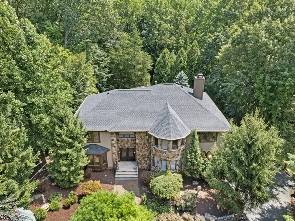 10 Beaver Ridge Rd, Morris Plains Boro, NJ 07950