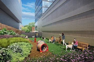 Rented by Red Apple Group