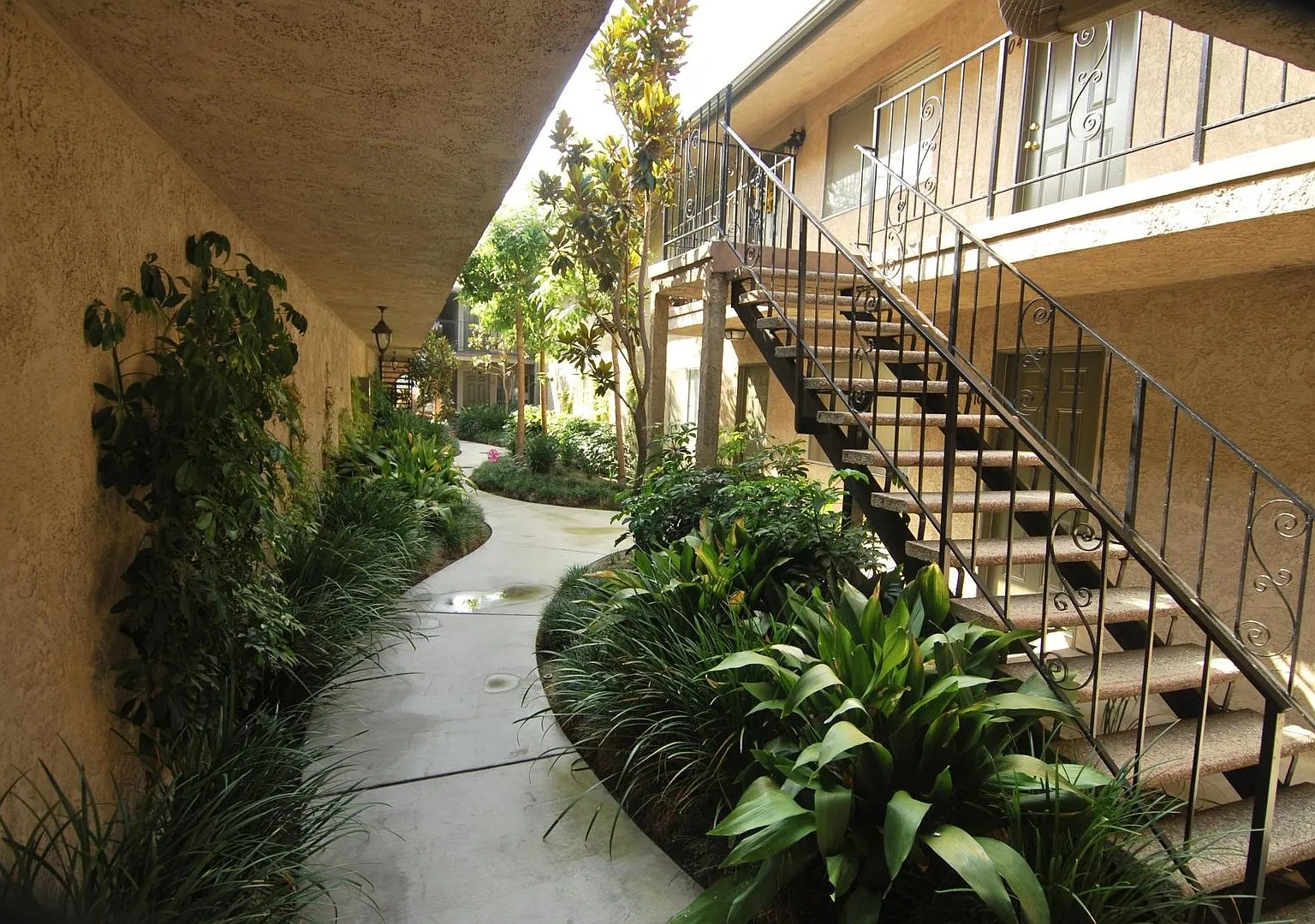La Reina Ave. Apartments — Photo 3