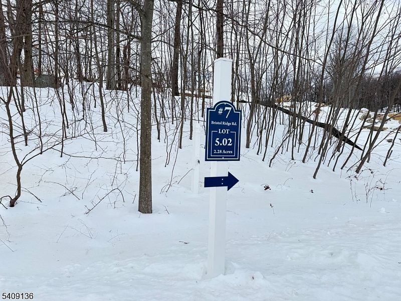 2nd image of 7 Bristol Ridge Rd