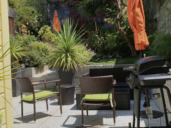 Patio and garden