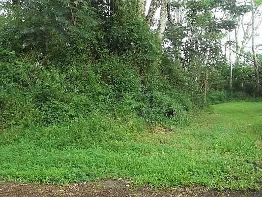 1st image of Niihau Lot 266