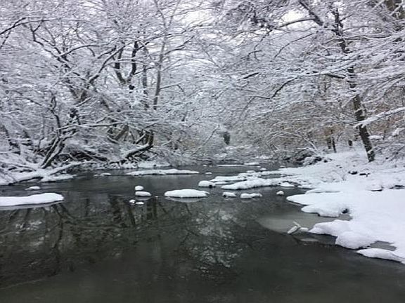 5th image of Cherry Ln
