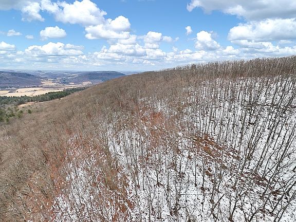 4th image of 0 Red House Hollow Rd